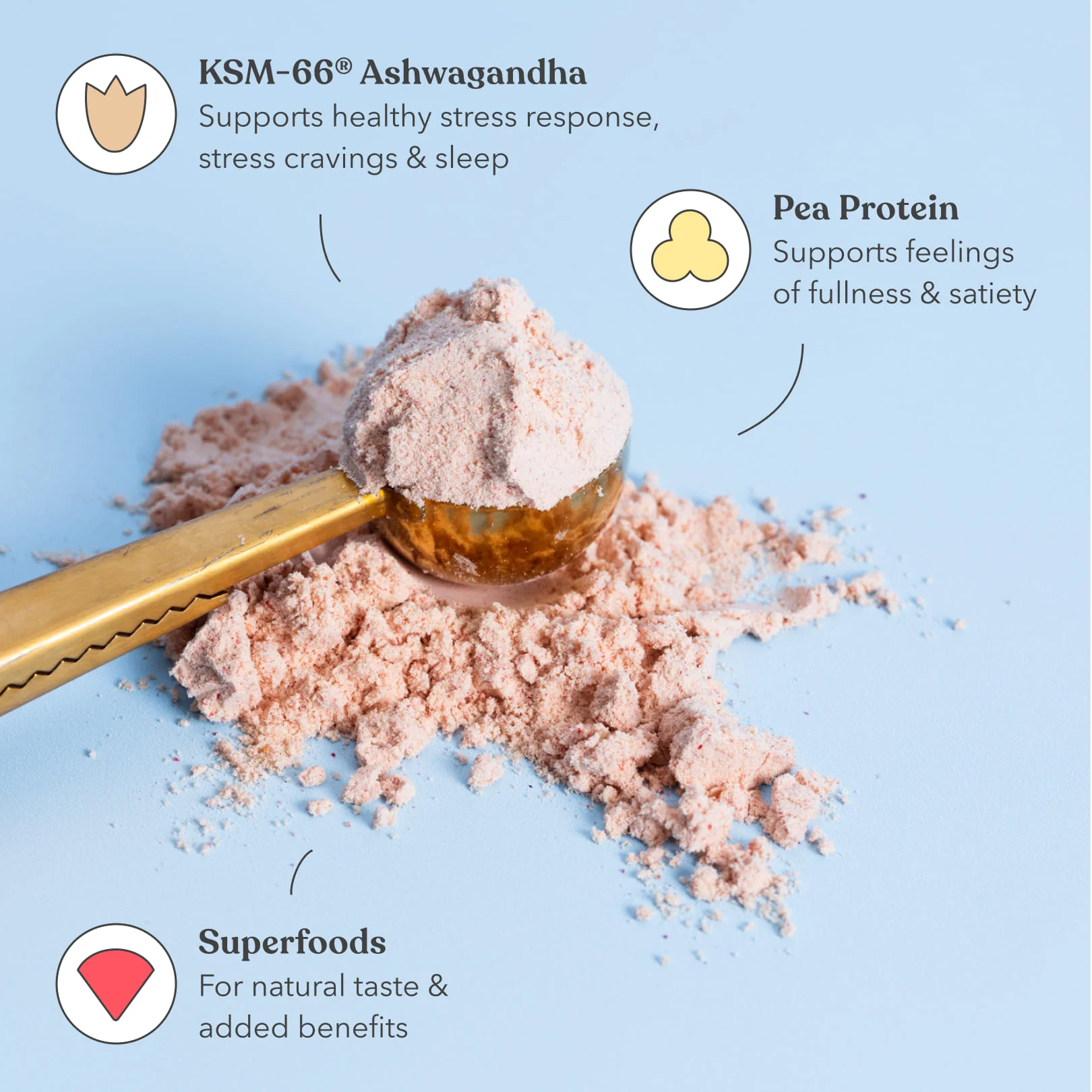Classic Protein Bundle - Image 3