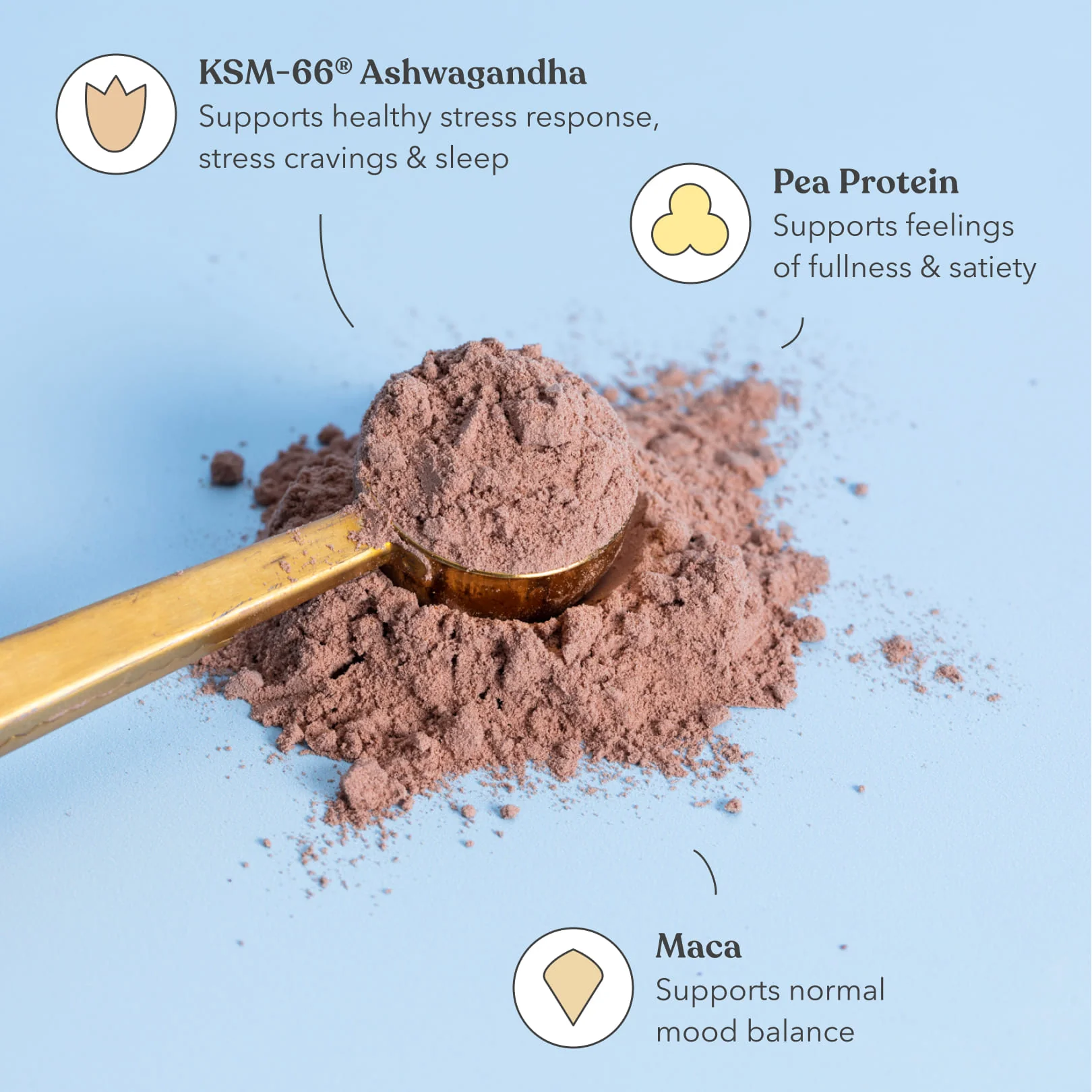 Indulgence Protein Bundle - Image 3
