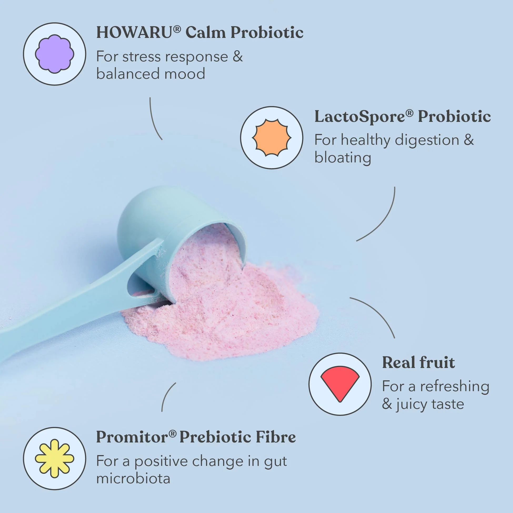 New Year's Pre + Probiotic Bundle - Image 3